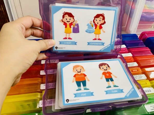 flashcard opposite